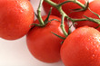Strauchtomaten rot auf weiss mit Wassertropfen,