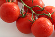 Strauchtomaten rot auf weiss mit Wassertropfen,