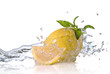 Water splash on grapefruit with mint isolated on white