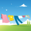 Clothes Line - Garden