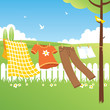 Clothes Line - Garden
