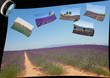 Voyage dans les champs de lavandes Voyage dans les champs de lavandes
