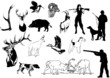 Vector: Chasse Chasse