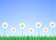 Hierba Flores