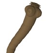 tapeworm