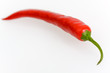 chili - Capsicum