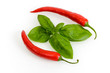 chili - Capsicum mit Pfefferminze