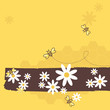 Honey Bees