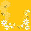 Honey Bees