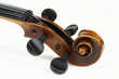 Violine: Schnecke mit Wirbelkasten