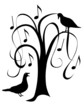 Song birds