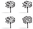 Seasons