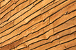 Wood texture