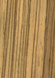 Wood texture