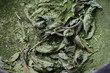 Stevia im Mörser