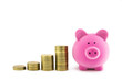 Pink piggy bank and coins Pink piggy bank and coins