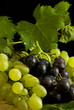 uva da tavola bianca e nera 4