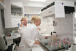 Students working  chemistry laboratory