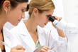 Two Femal Scientists Working Together Two Femal Scientists Working Together