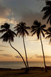 Caribbean. Dominican Republic. Punta Cana.