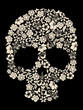 flowers ornated human skull vector