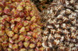 Petits bonbons colorés