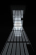 jailhouse cell door