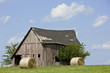 Rolled bales of hay on a farm