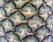 Pineapple bark