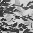 Sand, Stein, Licht und Schatten Sand, Stein, Licht und Schatten