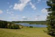 Lac de Bellefontaine, près de Morez (Jura)