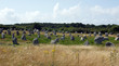 Les alignements de Carnac