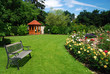Garden with roses