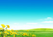 Nature 1