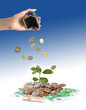 Plant hand and money. Plant hand and money.