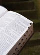 Biblia Genesis