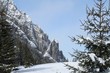Tatra mountains during winter - trees and rocks