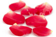 rose petals