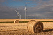 Eoliennes du marais breton - Vendée - France