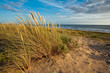 Plage de Vendee - France