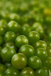 grapes background