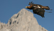 Flug über die Alpen Flug über die Alpen