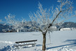 Bank im Schnee