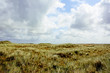 Düne Sylt