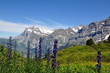 Paysage