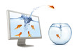 Goldfish Jumping Out Of Screen Goldfish Jumping Out Of Screen