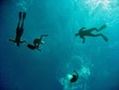 Freediving