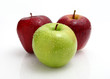 TREE APPLE