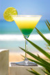 SUMMER COCTAIL