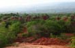 RED GROUND LANDSCAPE